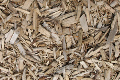 biomass boilers Bunacaimb